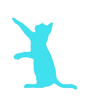 HeroCat3